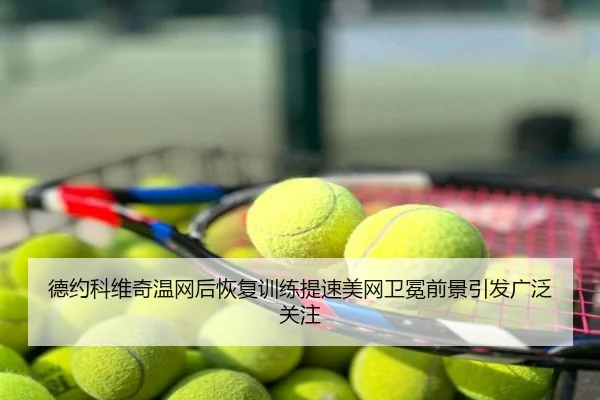 德约科维奇温网后恢复训练提速美网卫冕前景引发广泛关注