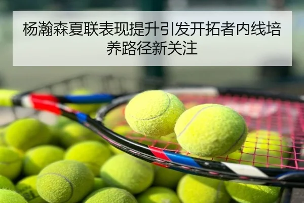 杨瀚森夏联表现提升引发开拓者内线培养路径新关注