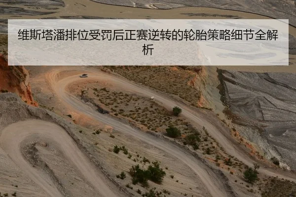 维斯塔潘排位受罚后正赛逆转的轮胎策略细节全解析