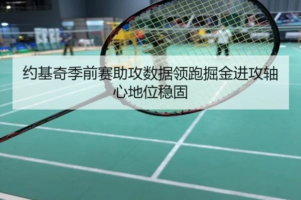 约基奇季前赛助攻数据领跑掘金进攻轴心地位稳固